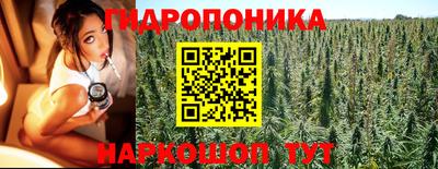 ALPHA PVP Новодвинск