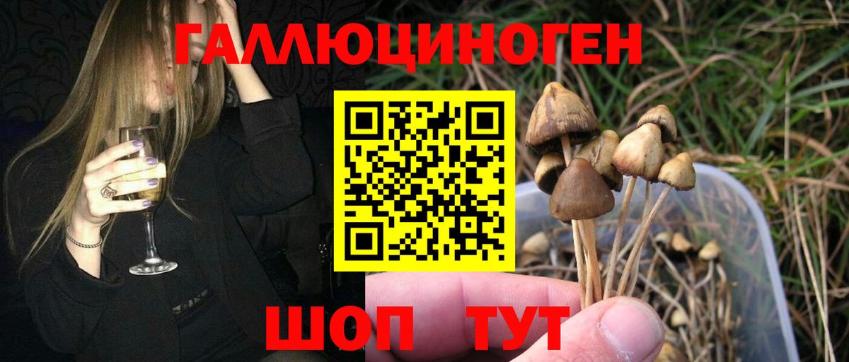 Узловая  Псилоцибиновые грибы Magic Shrooms  Вход с VPN 